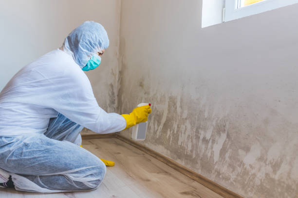 Mold Remediation specialist working in Gore