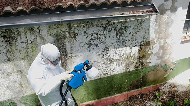 Mold Remediation service in Gore, Gore, VA